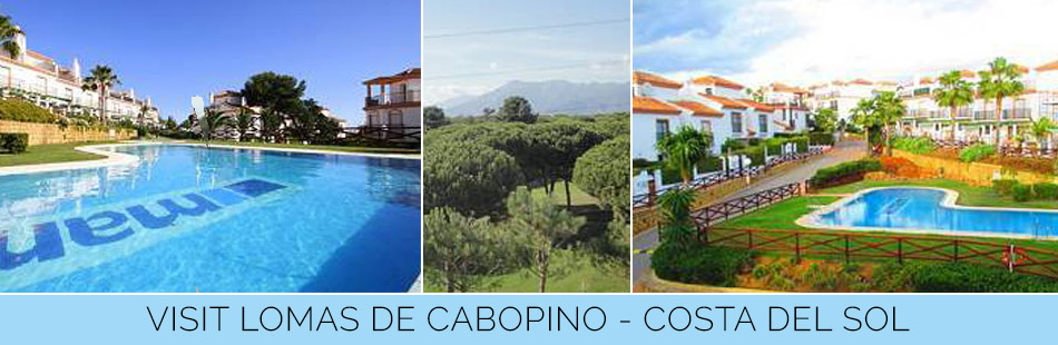 Lomas de Cabopino | Apartment for sale image header cabopino