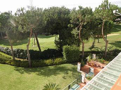 image of garden 