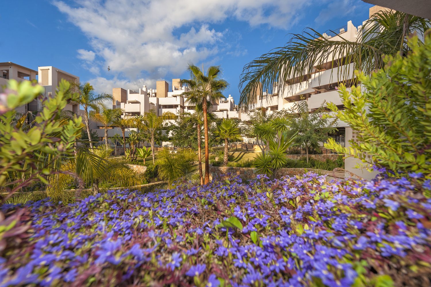 garden image 2 First line beach development with stunning sea views near marbella costa del sol